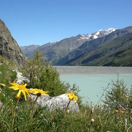 Portjengrat 3* Saas-Almagell